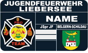 Gewählte Interessenvertretung der Jugendlichen